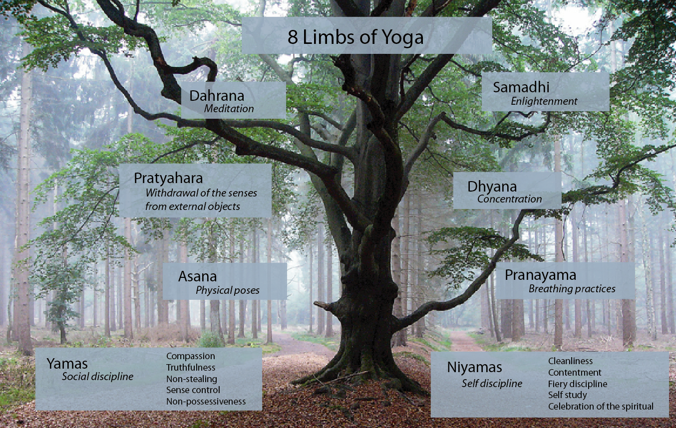 8 Limbs of yoga