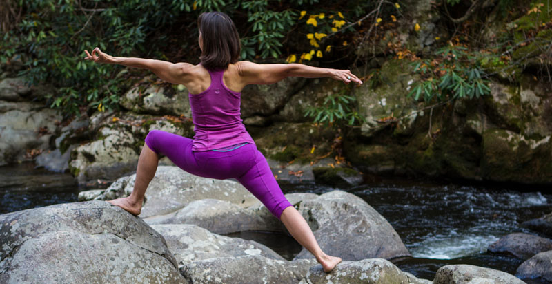 Virasana 2