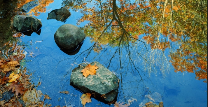 Reflection