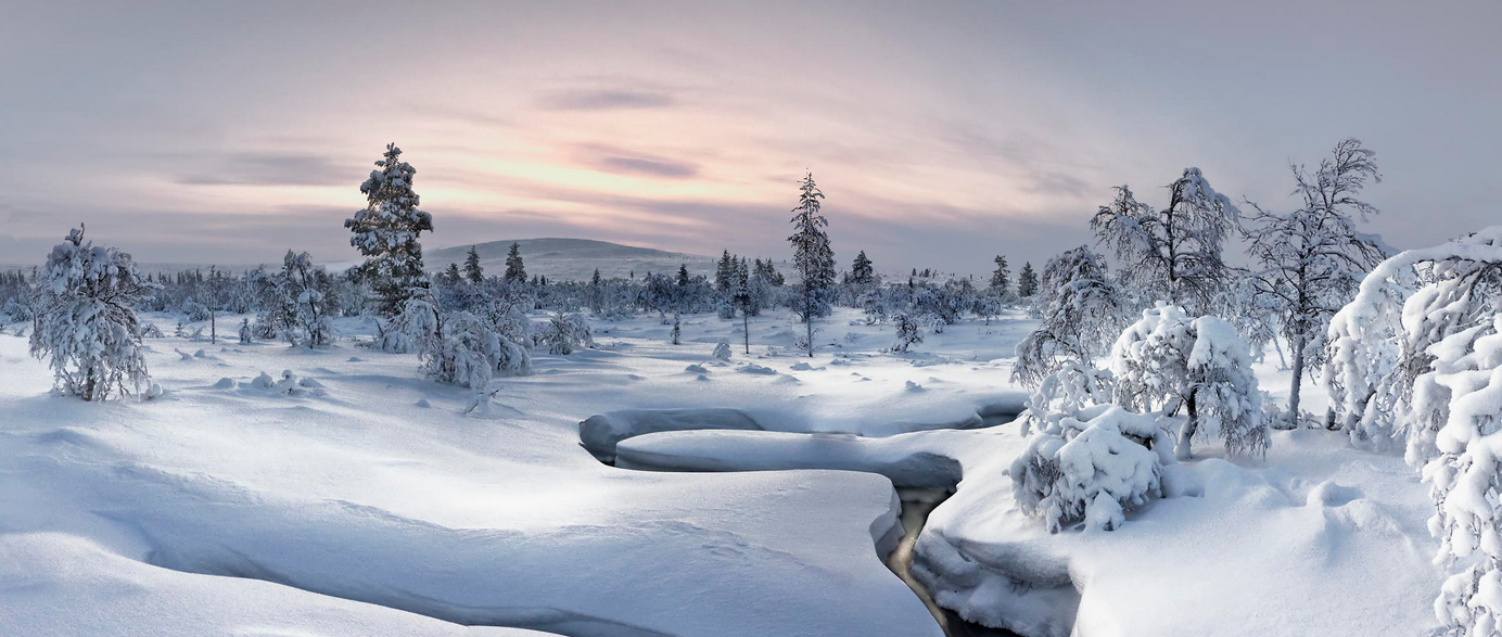 Silence in Snow