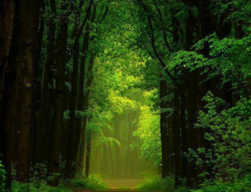 Remembering our Divine Nature