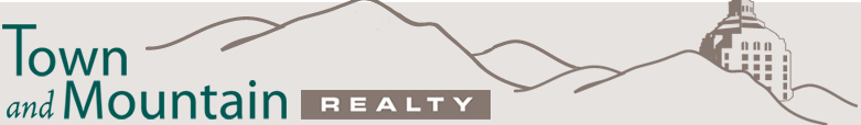 Town & Mountain Realty